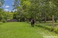 Property photo of 42 Upper Pinbarren Creek Road Pinbarren QLD 4568