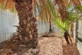 Property photo of 16 Whitehorse Street Newtown NSW 2042