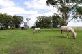 Property photo of 352 Logan Road Elphinstone QLD 4361