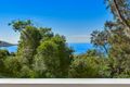 Property photo of 64 Cape Three Points Road Avoca Beach NSW 2251