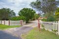 Property photo of 170 Robert Road Lochinvar NSW 2321