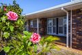 Property photo of 22 McGhie Avenue Maryborough QLD 4650