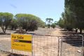Property photo of 33 Alfred Street York WA 6302