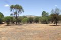 Property photo of 33 Alfred Street York WA 6302