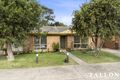Property photo of 8/59 Elizabeth Street Hastings VIC 3915