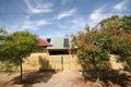 Property photo of 5 Wilson Street Plympton Park SA 5038
