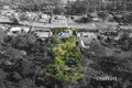 Property photo of 38-40 Myrtle Road Jimboomba QLD 4280