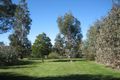 Property photo of 19 Martins Road Taradale VIC 3447