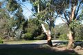 Property photo of 19 Martins Road Taradale VIC 3447