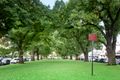 Property photo of 9/357-363 Rathdowne Street Carlton VIC 3053