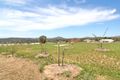 Property photo of 11 Dolly McGrath Street Duffy ACT 2611