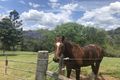 Property photo of 128 O'Brien Road Pullenvale QLD 4069