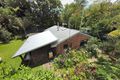 Property photo of 58 Macdonnell Road Tamborine Mountain QLD 4272
