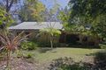 Property photo of 19 Lilli Pilli Drive Byron Bay NSW 2481