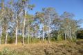 Property photo of 214 North Isis Road North Isis QLD 4660