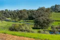 Property photo of 60 Cruse Road Belhus WA 6069