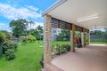 Property photo of 3 Palmtree Avenue Scarborough QLD 4020