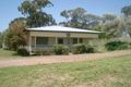 Property photo of 31 Apsley Crescent Mumbil NSW 2820