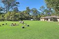 Property photo of 62 Whites Road Landsborough QLD 4550