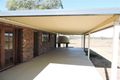 Property photo of 398 Warwick-Killarney Road Morgan Park QLD 4370