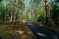 Property photo of 75 Grays Road Doonan QLD 4562