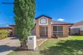 Property photo of 31 Heathcote Avenue North Lakes QLD 4509