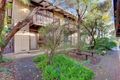 Property photo of 9/269-271 Belair Road Torrens Park SA 5062