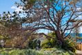 Property photo of 93 Narrabeen Park Parade Mona Vale NSW 2103