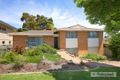 Property photo of 41 Minnamurra Crescent Hillvue NSW 2340