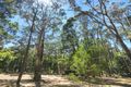 Property photo of 10 Burma Track Eganstown VIC 3461
