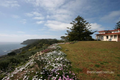 Property photo of 298 Tollymore Road Table Cape TAS 7325