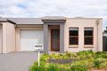 Property photo of 46 Oliphant Avenue Marion SA 5043