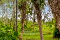 Property photo of 124 Dickson Way Point Lookout QLD 4183