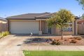 Property photo of 20 Stringybark Avenue Wallan VIC 3756