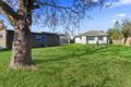 Property photo of 67 Elsie Grove Edithvale VIC 3196