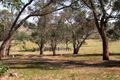 Property photo of 656 Belgrave-Hallam Road Narre Warren East VIC 3804