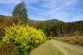 Property photo of 638 Bugong Road Budgong NSW 2577
