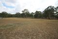 Property photo of 20B Grey Gum Road Denman NSW 2328