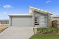 Property photo of 44 Mark Dillon Circuit Spring Mountain QLD 4300