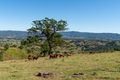 Property photo of 181 Ocean View Road Ocean View QLD 4521