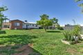 Property photo of 15 Johnston Street North Tamworth NSW 2340