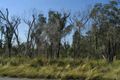 Property photo of 44 Pleasure Point Road Pleasure Point NSW 2172