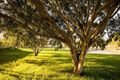 Property photo of 43/26-32 Radke Road Bethania QLD 4205