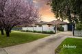 Property photo of 297 Honour Avenue Corowa NSW 2646