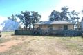 Property photo of 13 Sungift Avenue Narromine NSW 2821