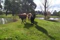 Property photo of 101 Preston Road Collie WA 6225