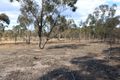 Property photo of 410 Timor Road Bowenvale VIC 3465