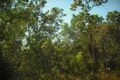 Property photo of 580 Namarada Drive Dundee Beach NT 0840