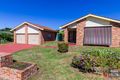 Property photo of 39 Neptune Crescent Bligh Park NSW 2756