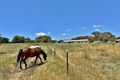 Property photo of 3820 Murringo Road Young NSW 2594